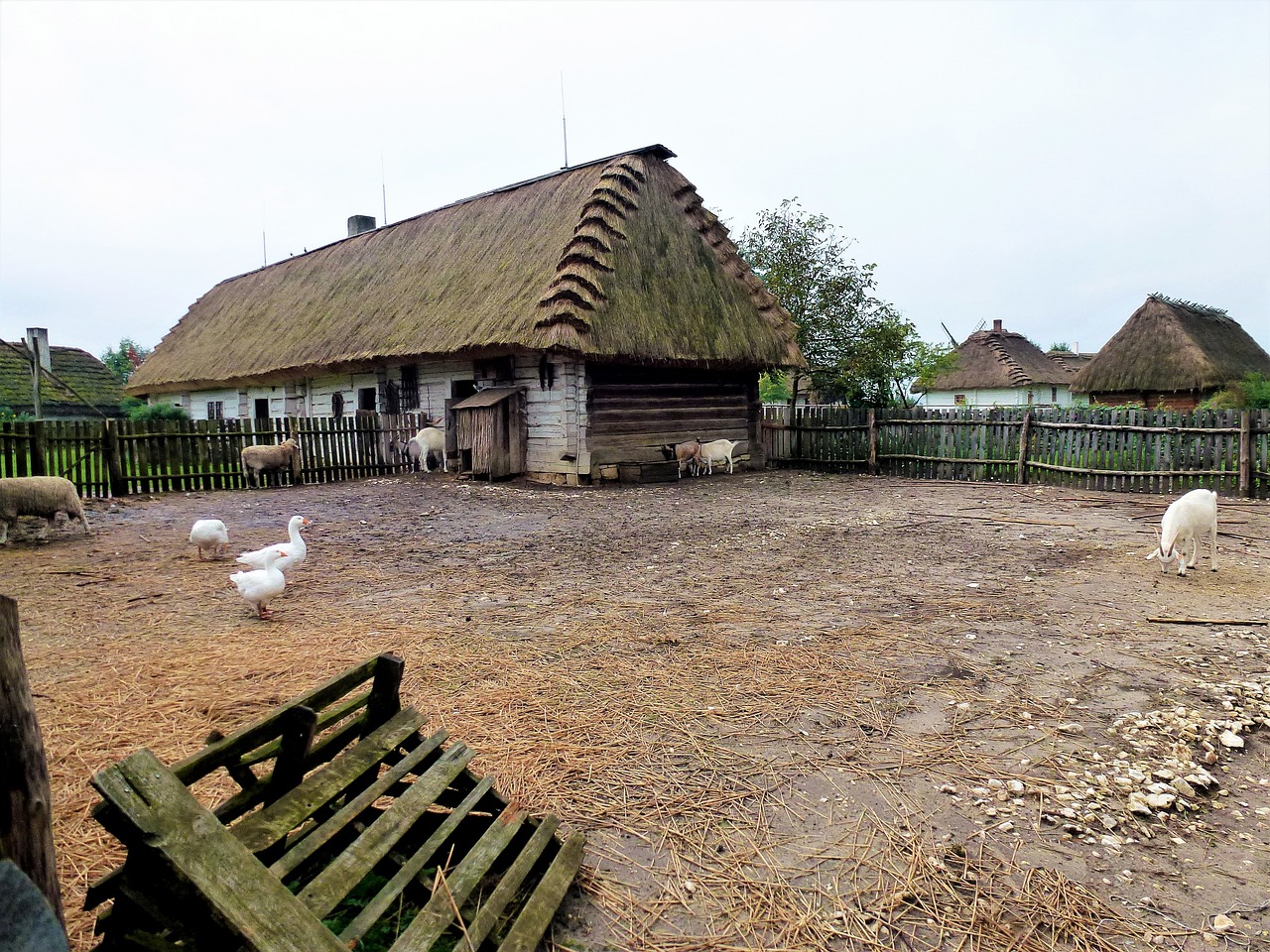 最新农村盖房趋势及其影响分析