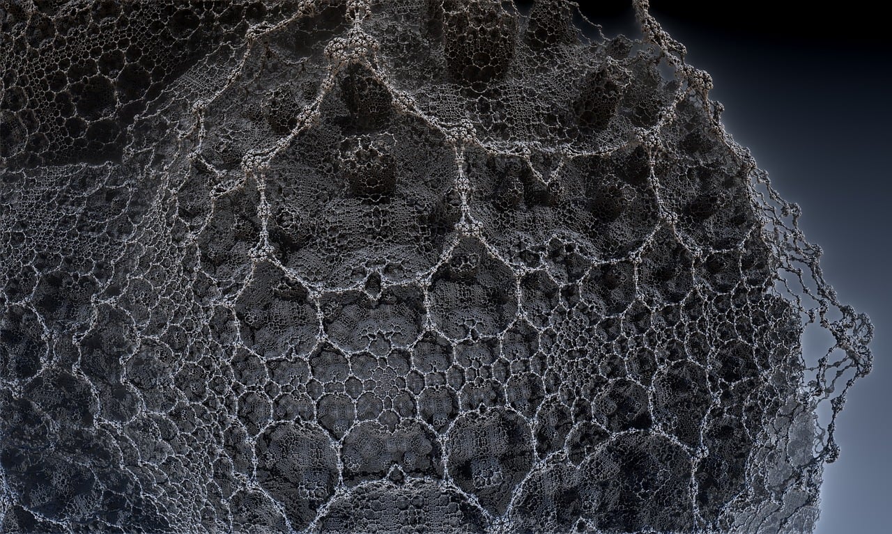 章小蕙最新动态,时尚先锋跨界新篇章