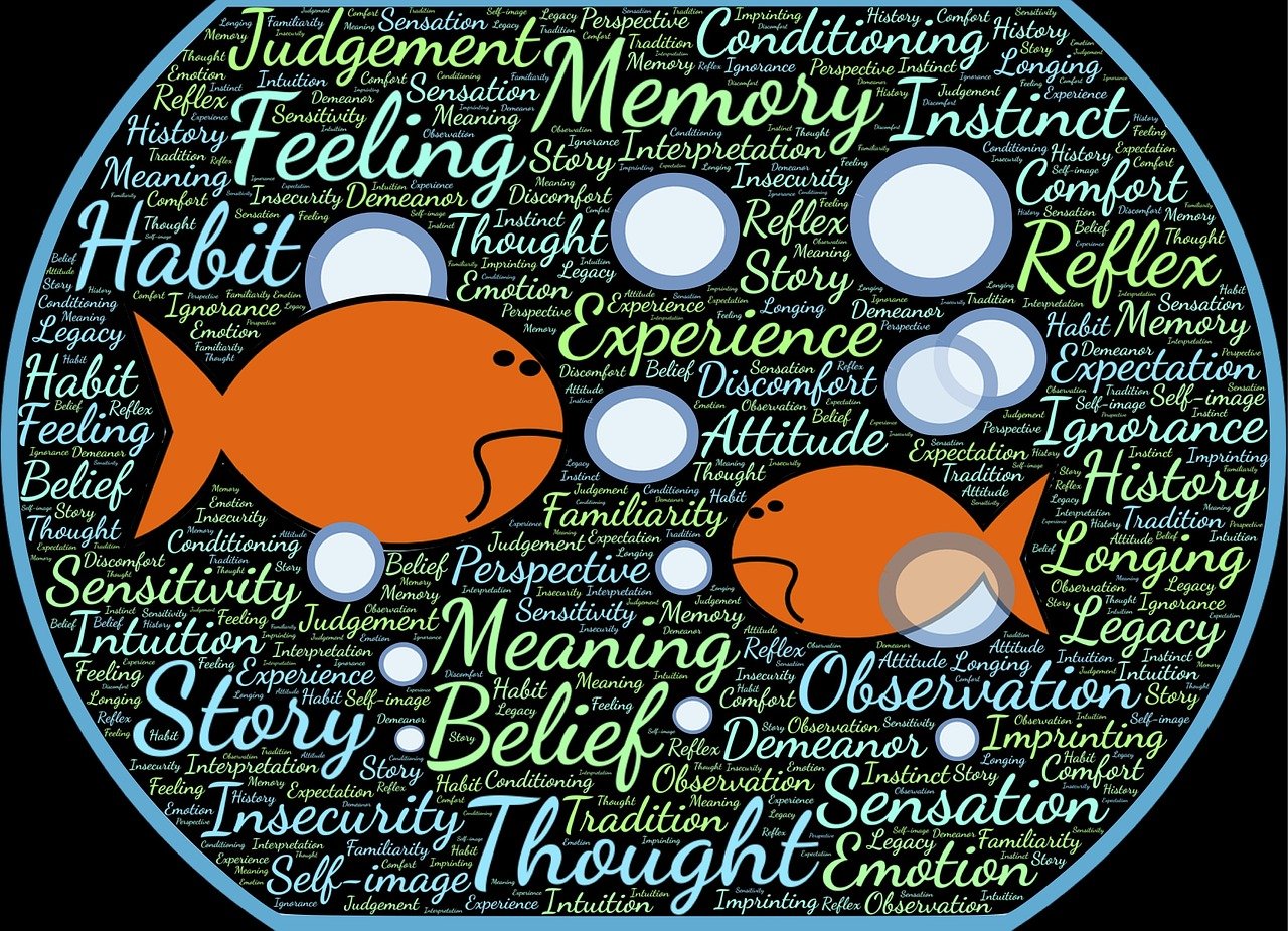 双色球中奖故事最新篇章,梦想与现实交汇的时刻