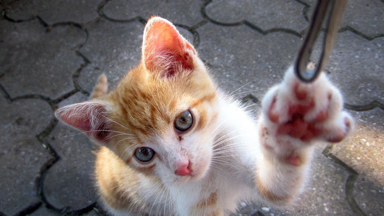 乳山银滩最新动态揭秘,海域新篇章开启