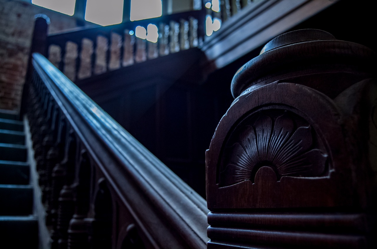 沉封最新章节,探索未知世界的奥秘