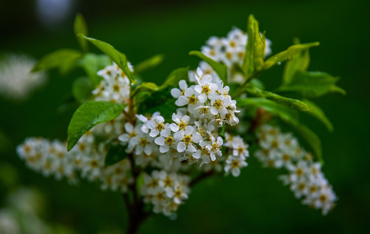 辽宁宏运足球最新动态,蓄势待发,砥砺前行展风采