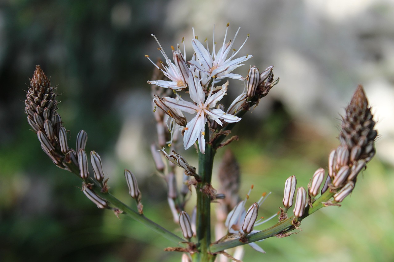 台湾登革热最新动态,全面防控,积极应对
