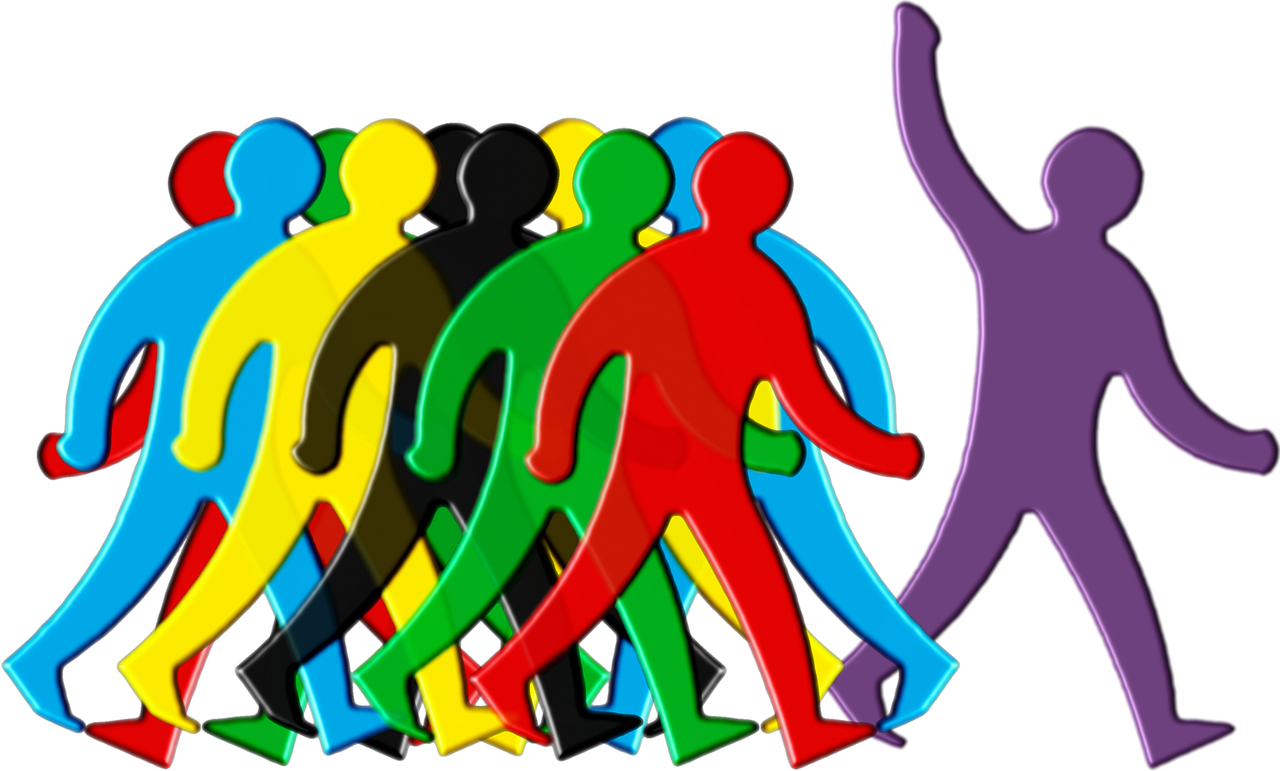 中劳网最新招聘动态及其影响概览