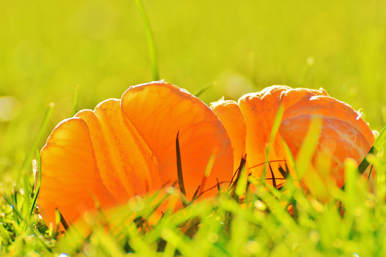 和桥镇最新招聘动态与职业机会深度探索