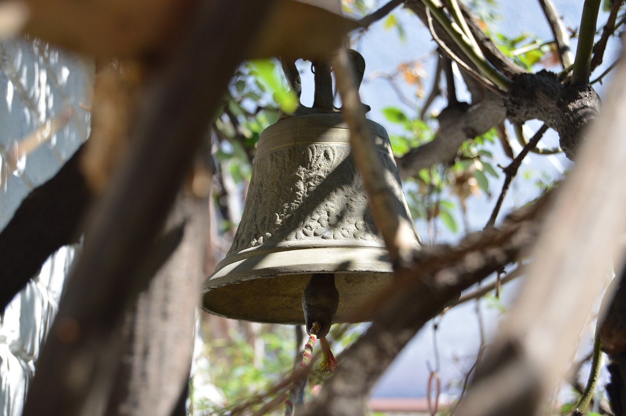 奉化劳动力市场最新动态及分析概览