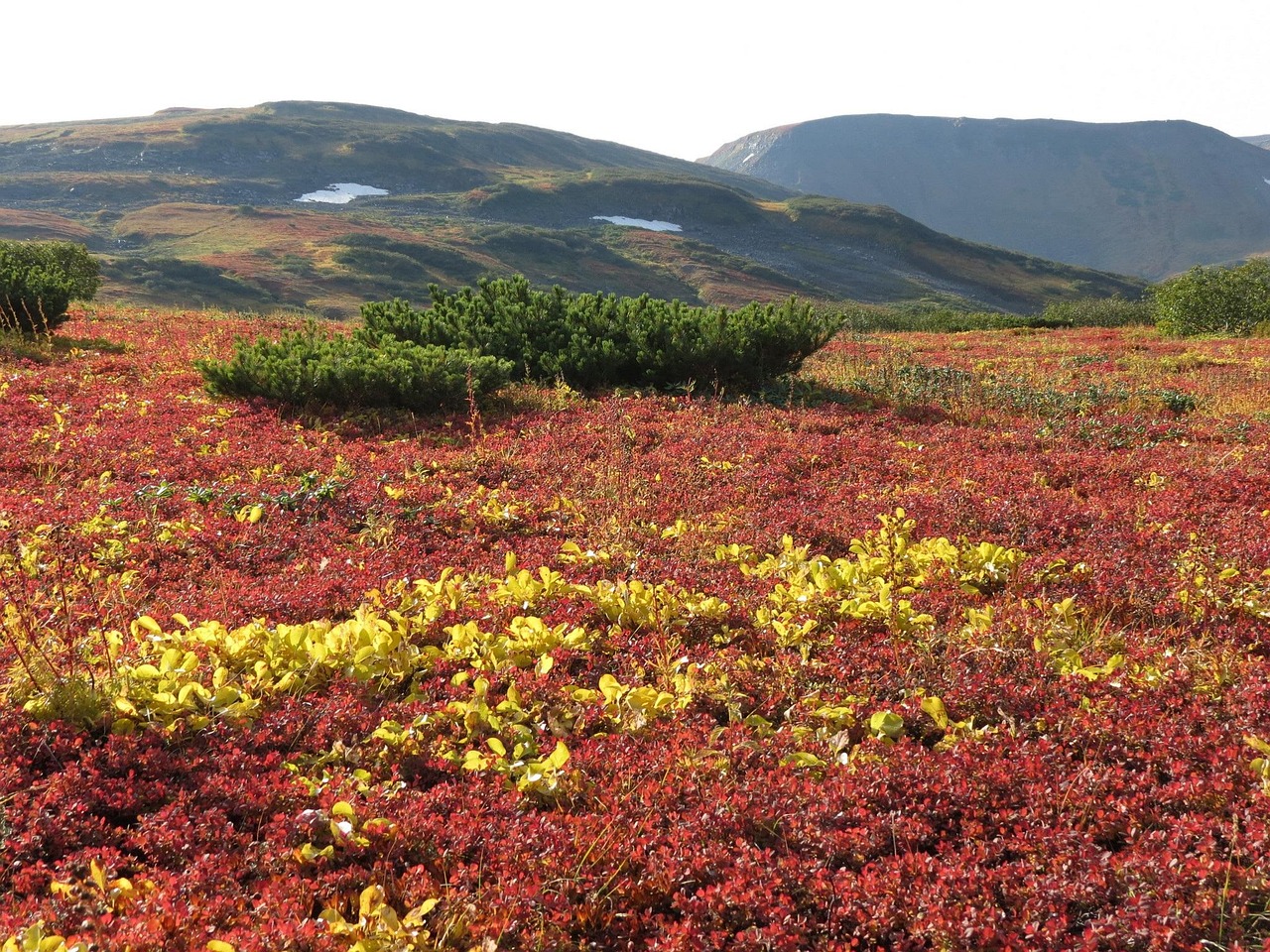 娜恩最新动态,闪耀之星持续绽放光芒