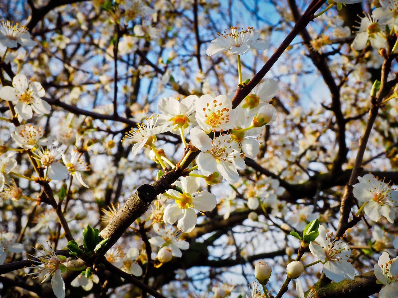 娜恩最新动态,闪耀之星持续绽放光芒