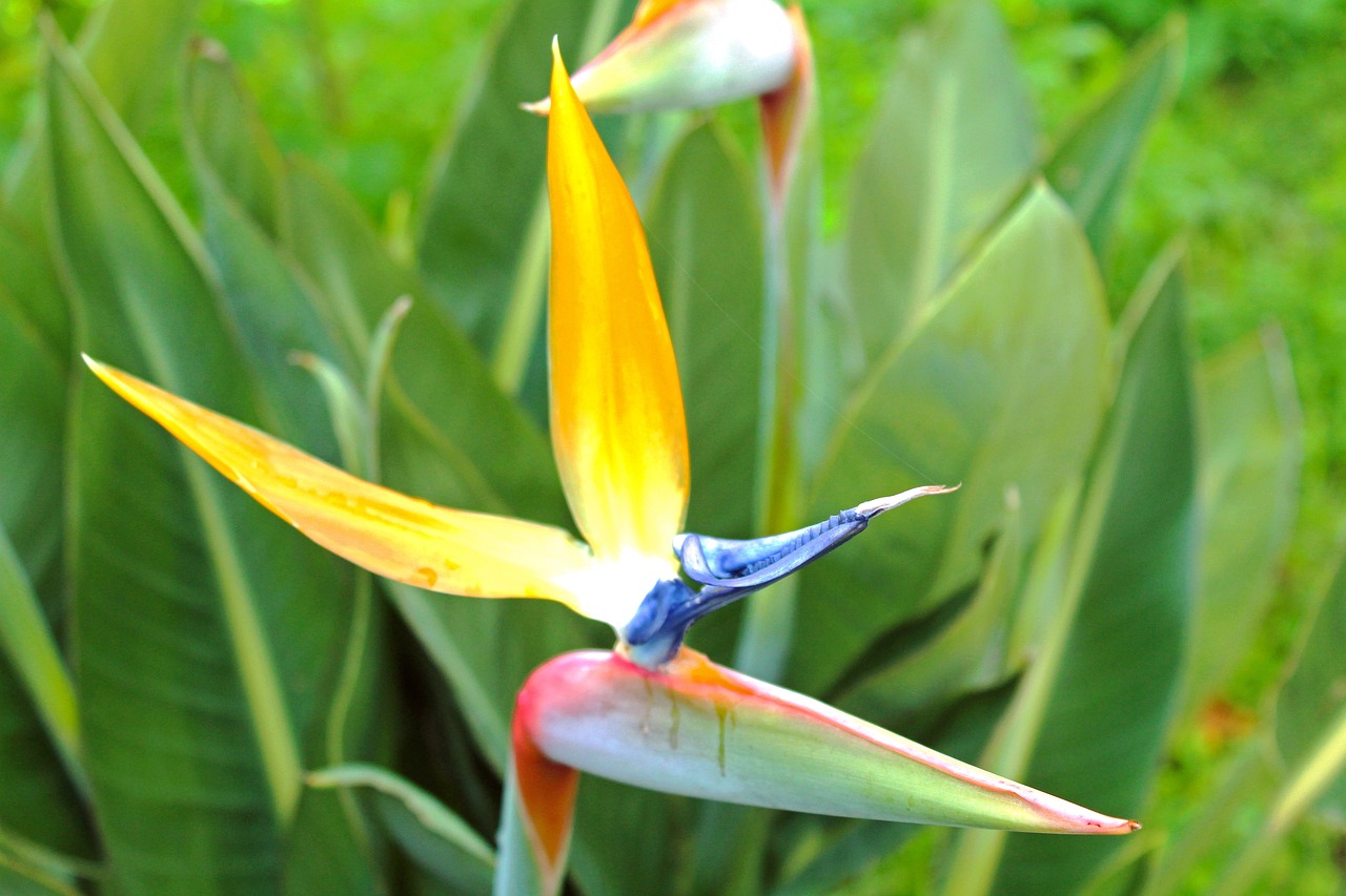 安阳集资最新动态,全面解读与深度分析