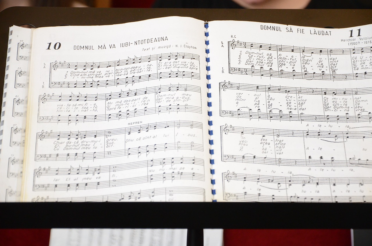 炎明熹最新歌曲,开启音乐之旅新篇章