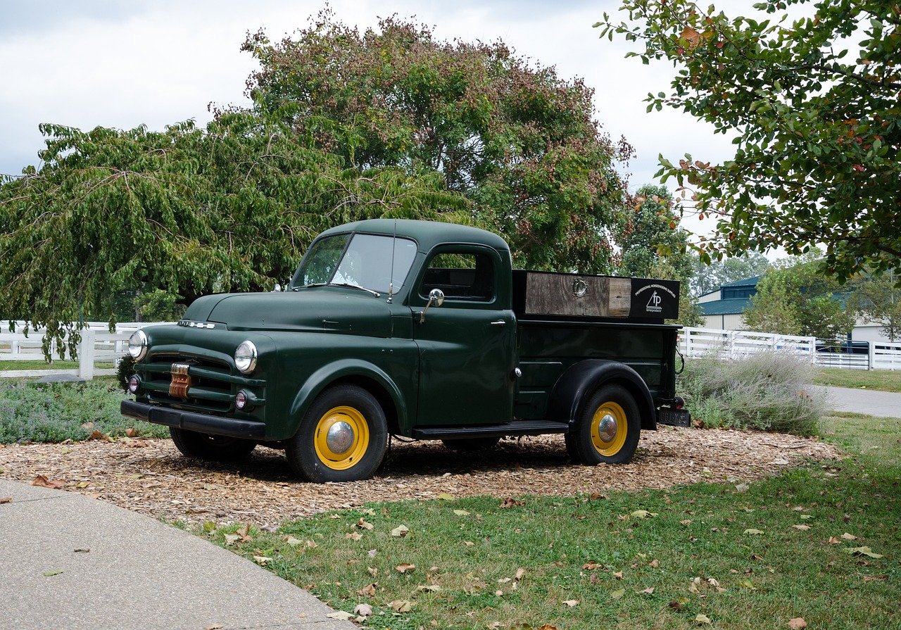 黑龙滩开发最新动态,迈向繁荣与活力,展望未来发展