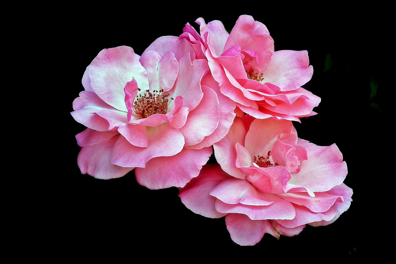 梅州机场搬迁最新动态,进展及其深远影响