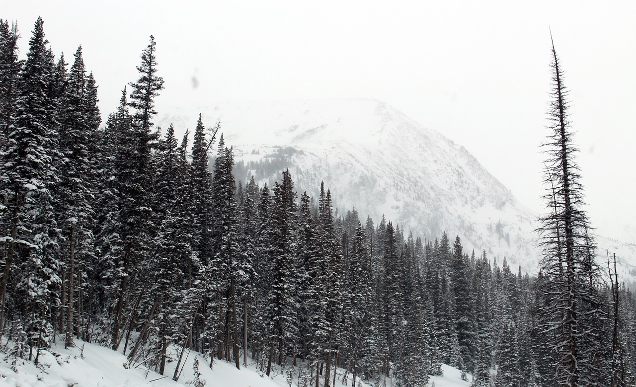 设计总院股票最新消息深度解析与动态关注