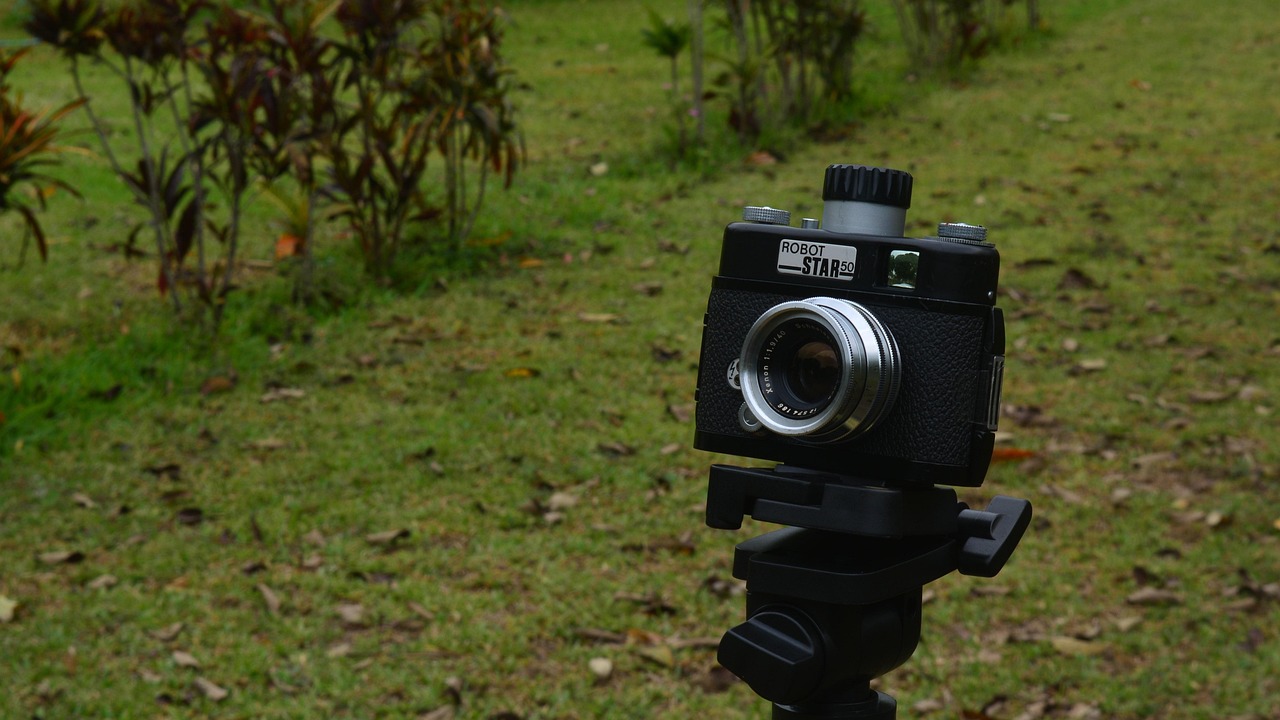 韩熙庭最新动态,闪耀之星持续璀璨