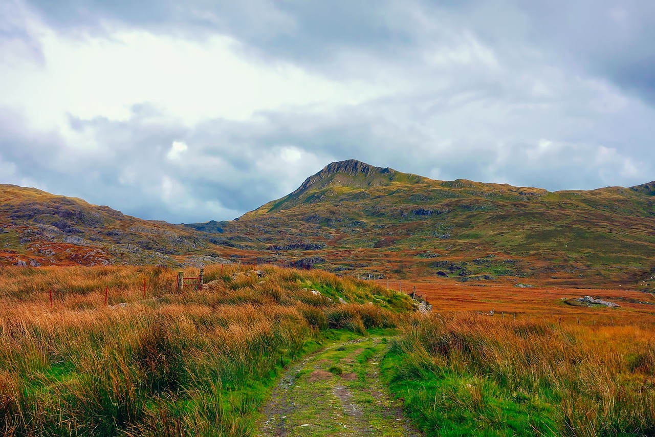 昆山土拍最新动态,城市发展与土地市场深度解析