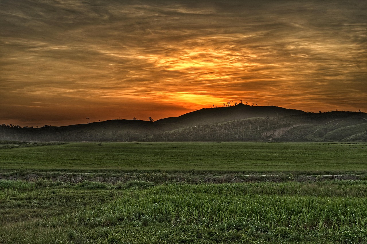 承诺与坚持的浪漫之旅,爱你一生的最新章节