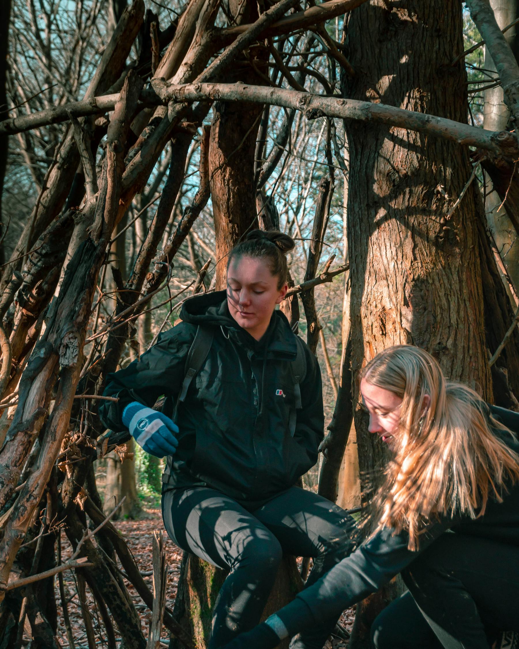 东伯雪鹰最新章节,英雄崛起与冒险新篇章开启