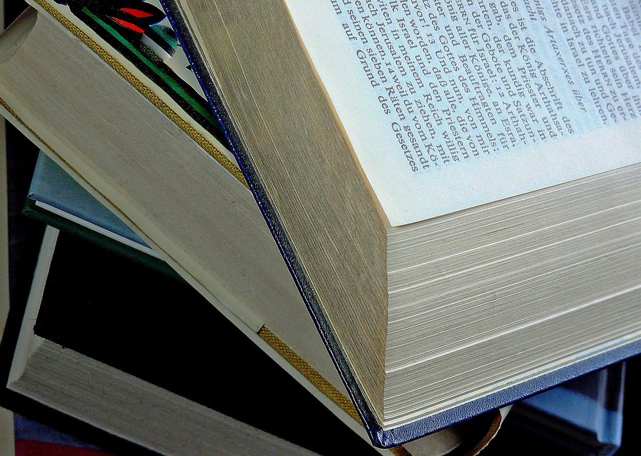 探寻圣虚的奥秘,最新章节与辰东的解读