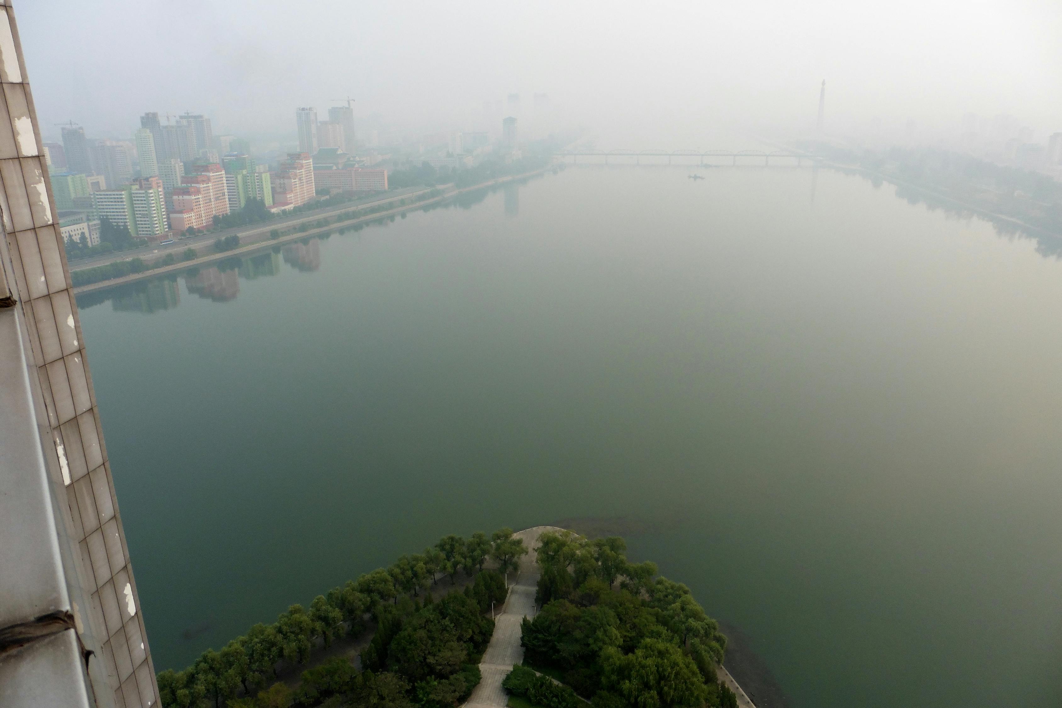 新城区杨家村最新动态更新