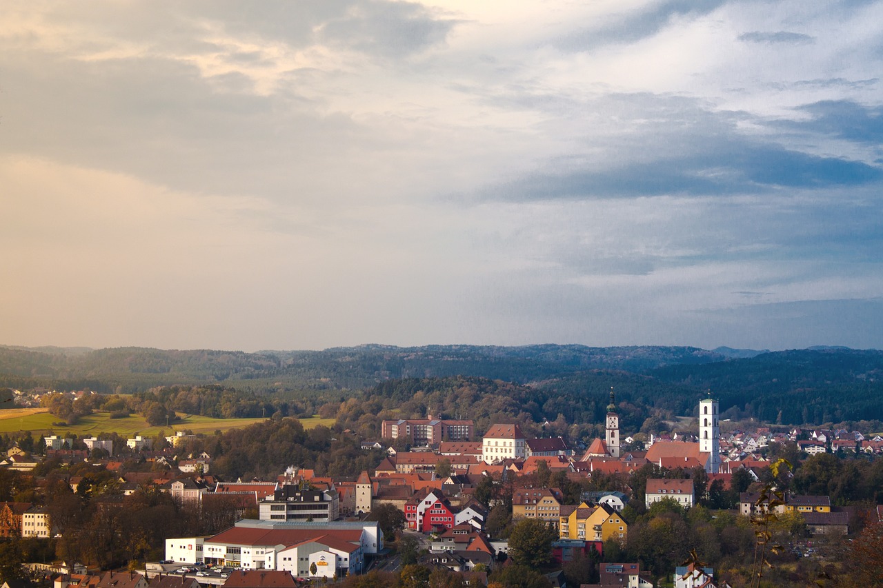日照市网约车最新动态更新,最新消息汇总