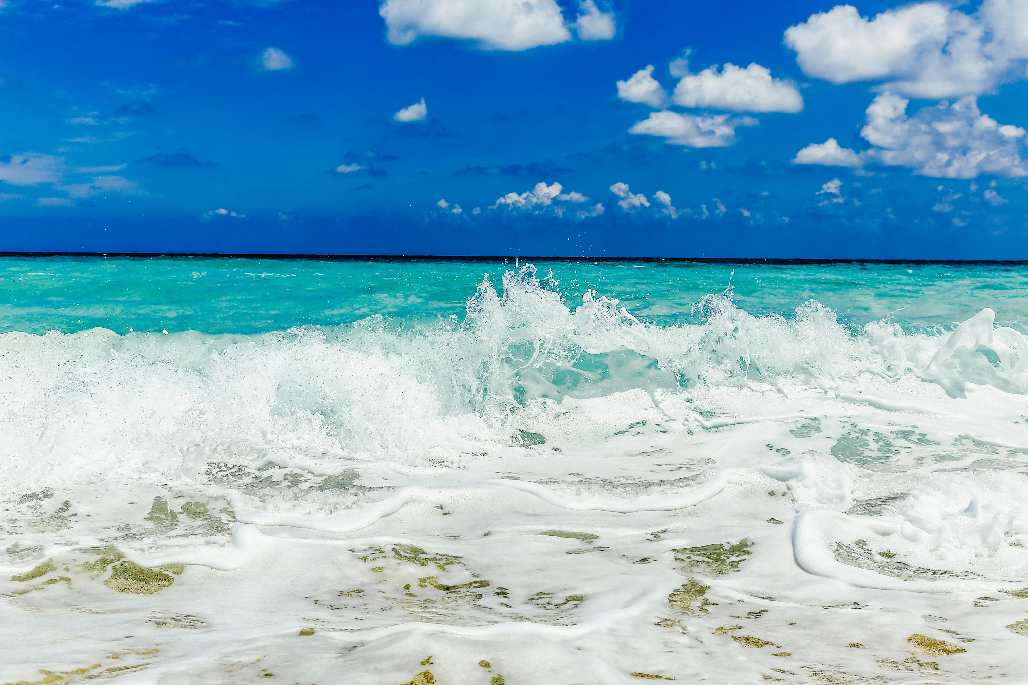 引领海洋探索新时代的先锋力量,最新船型揭秘