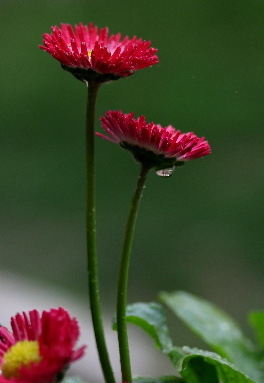 最新散文阅读,探索心灵深处的诗意世界