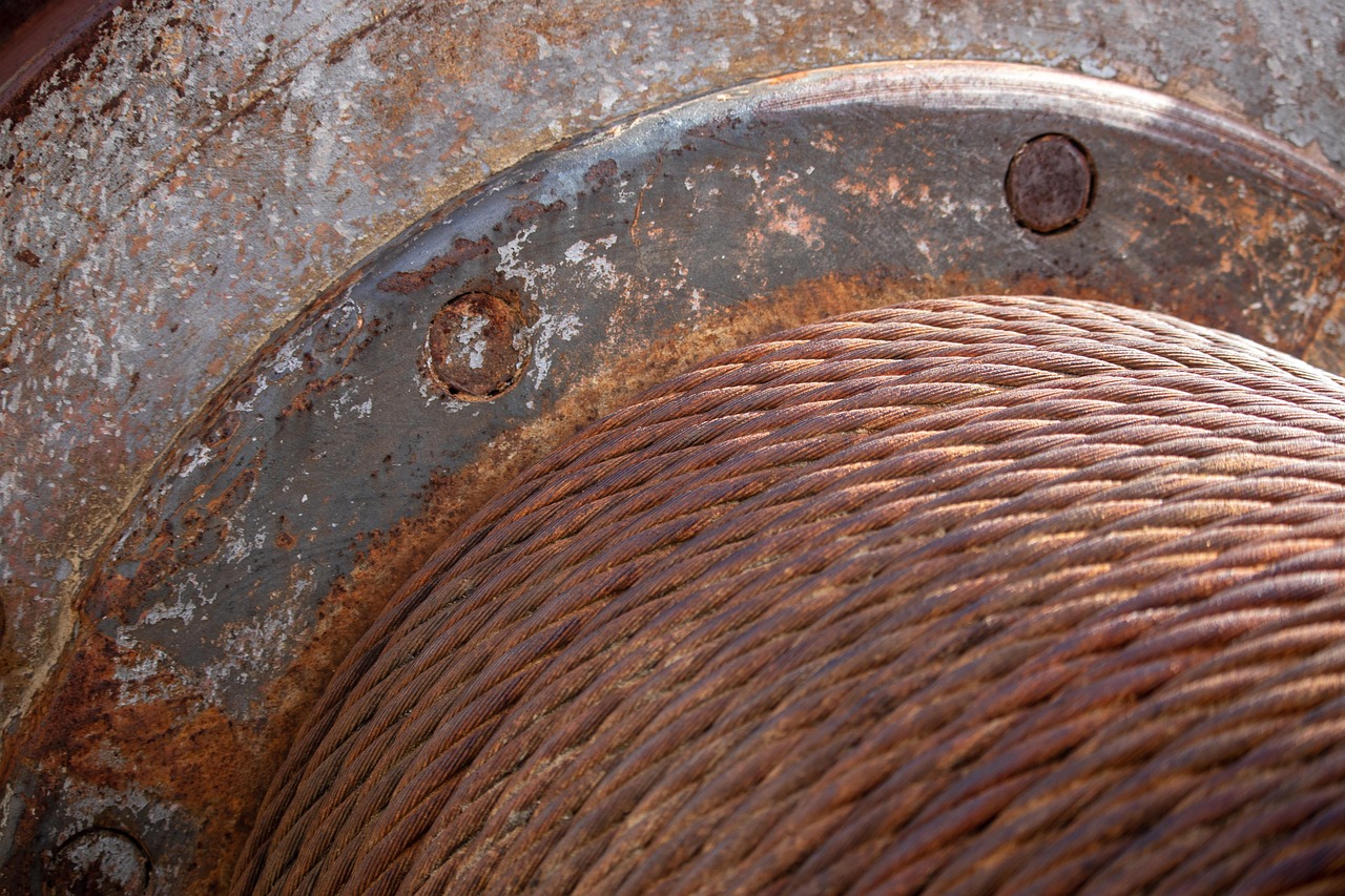 最新立法动态及其深远影响