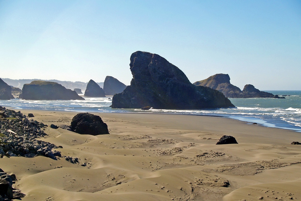 最新立法动态及其深远影响