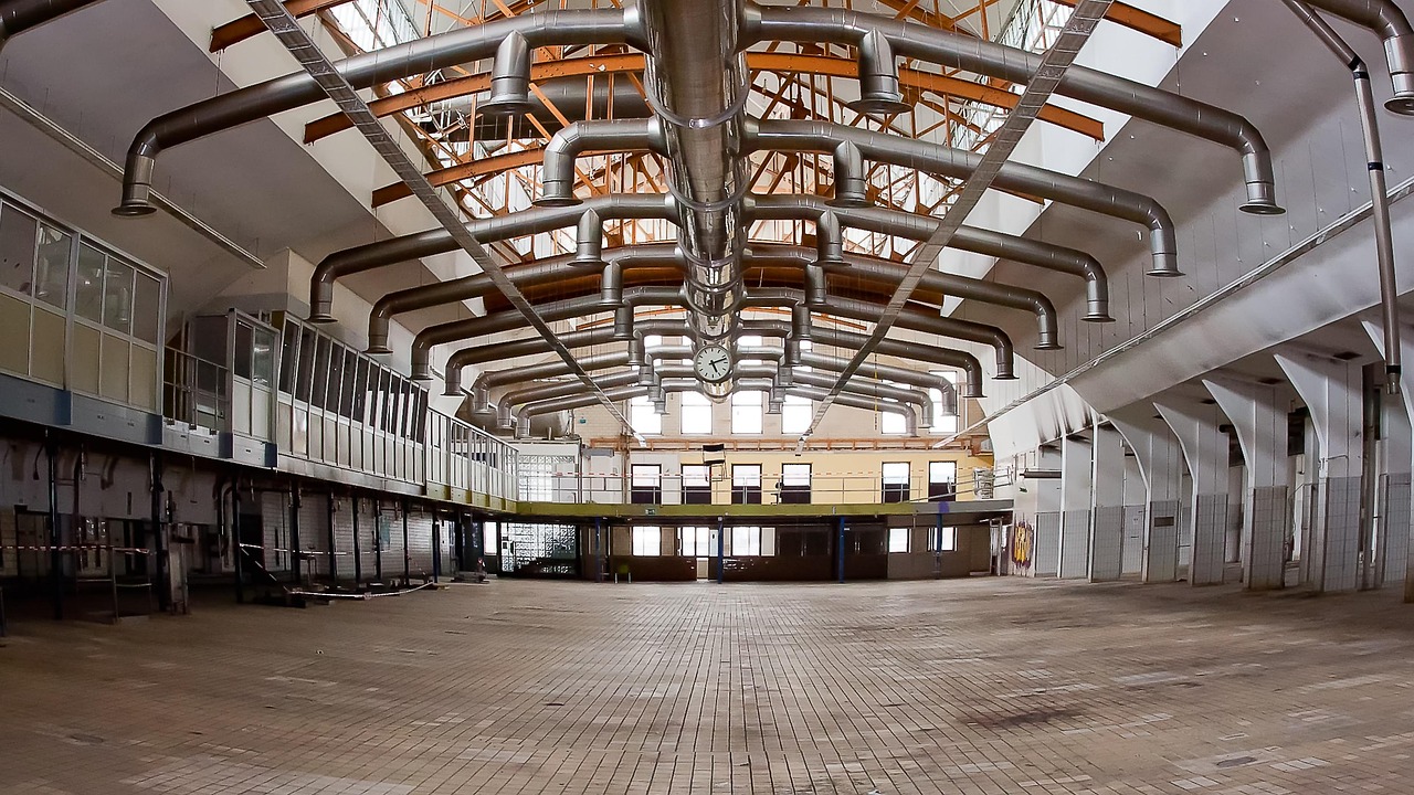 乐视最新动态,引领数字娱乐新时代的先锋资讯