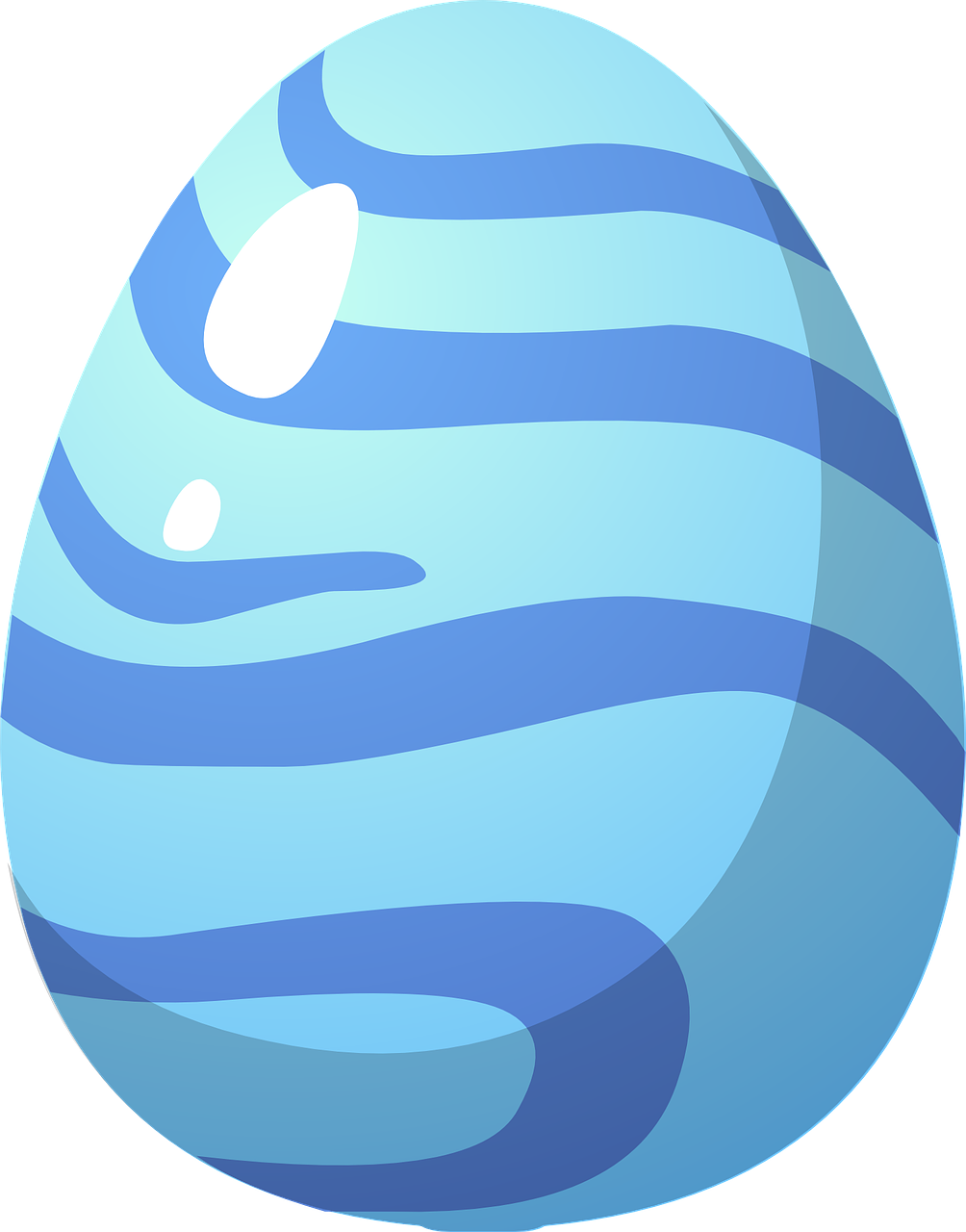 安阳鸡蛋最新价格及动态分析