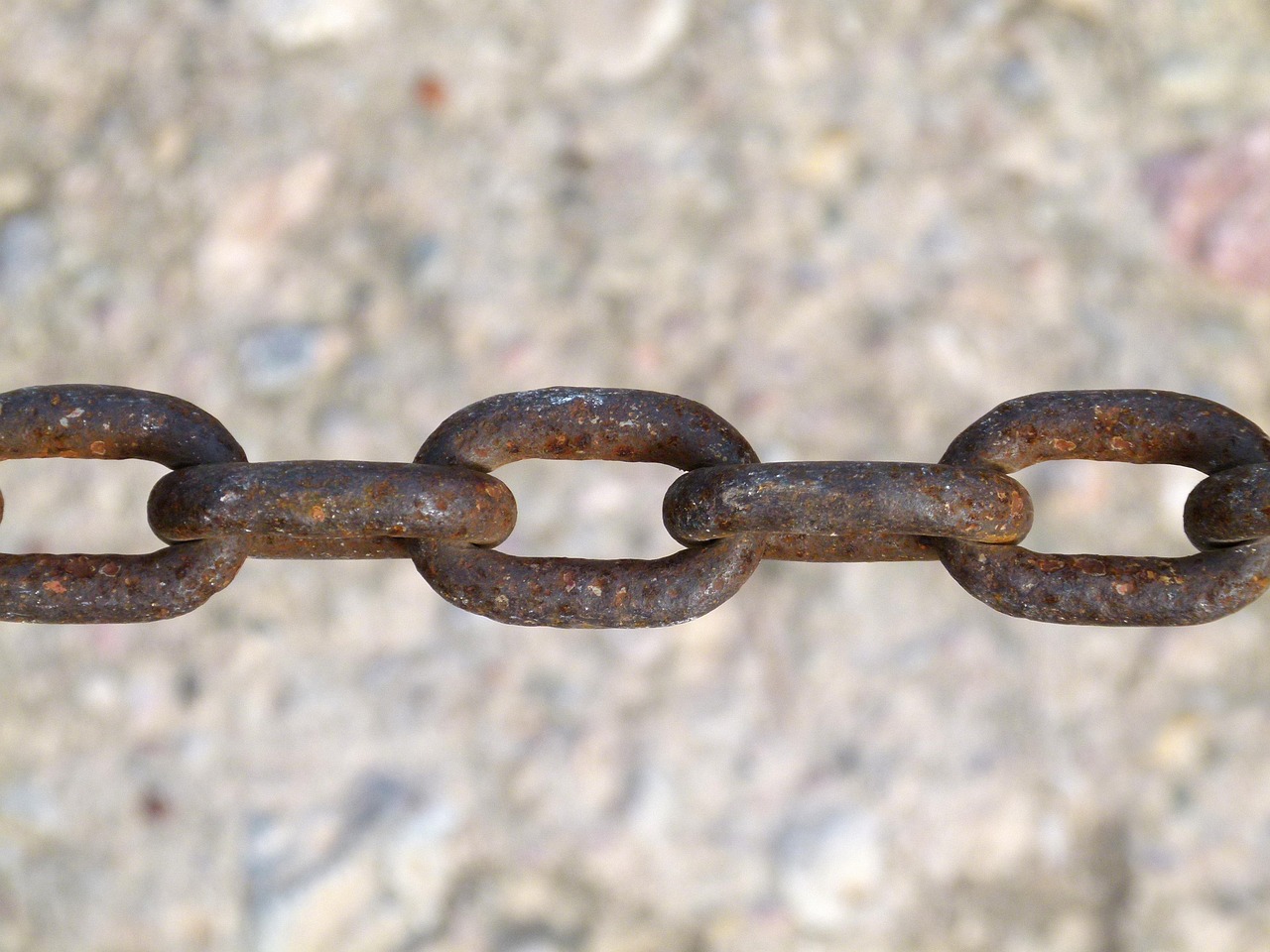 集安最新新闻动态报道速递