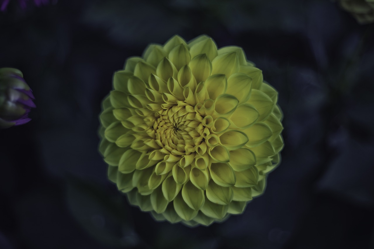 泰山时代变迁与发展动态最新报道