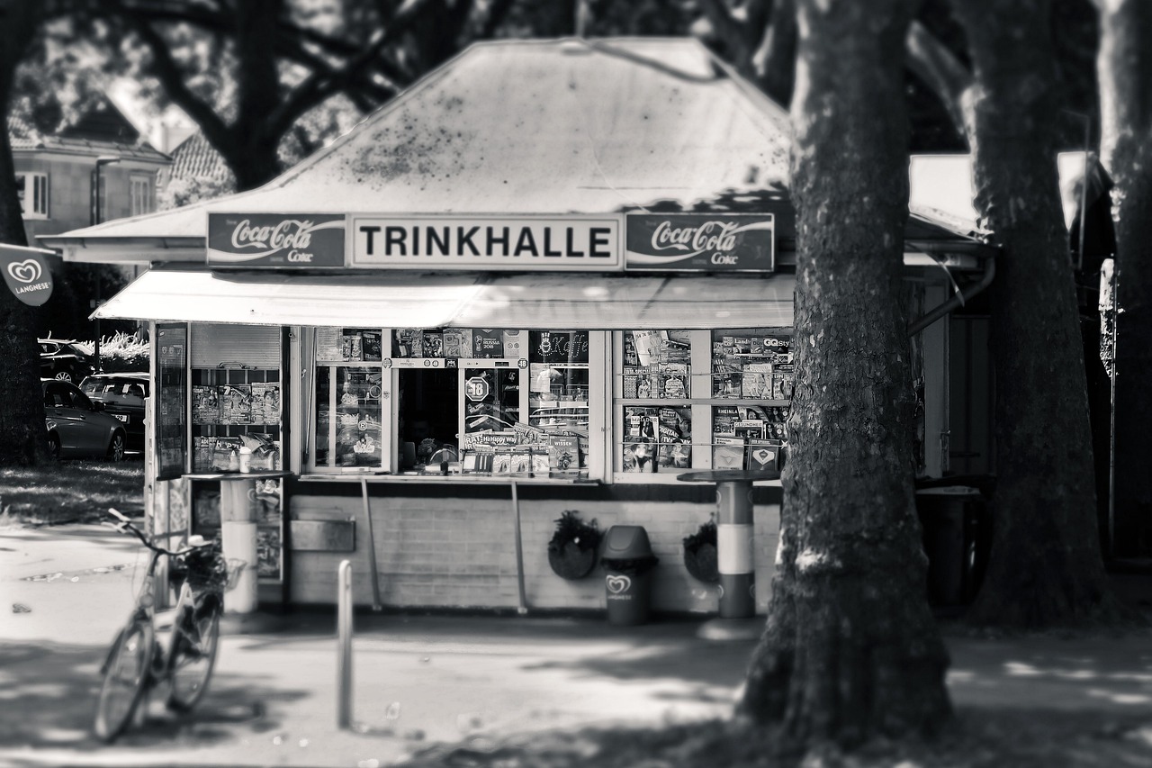 林萃路最新动态,蜕变中的城市脉搏