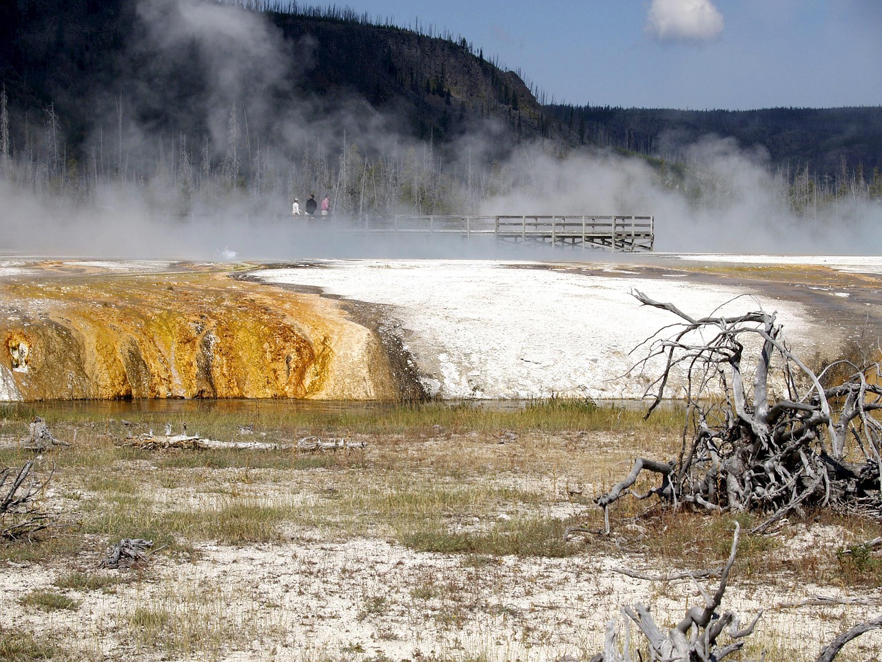 探索神秘西域之美,最新新疆游记之旅