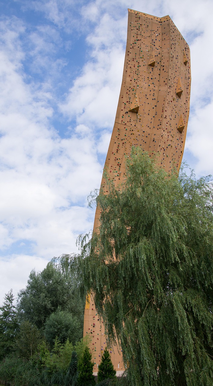 李立宏的最新动态与成就概览