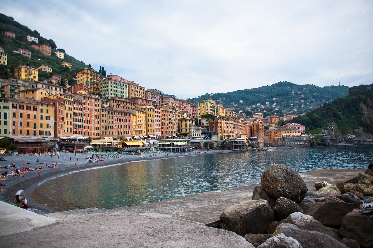 南阳玉米最新价格及动态分析概述