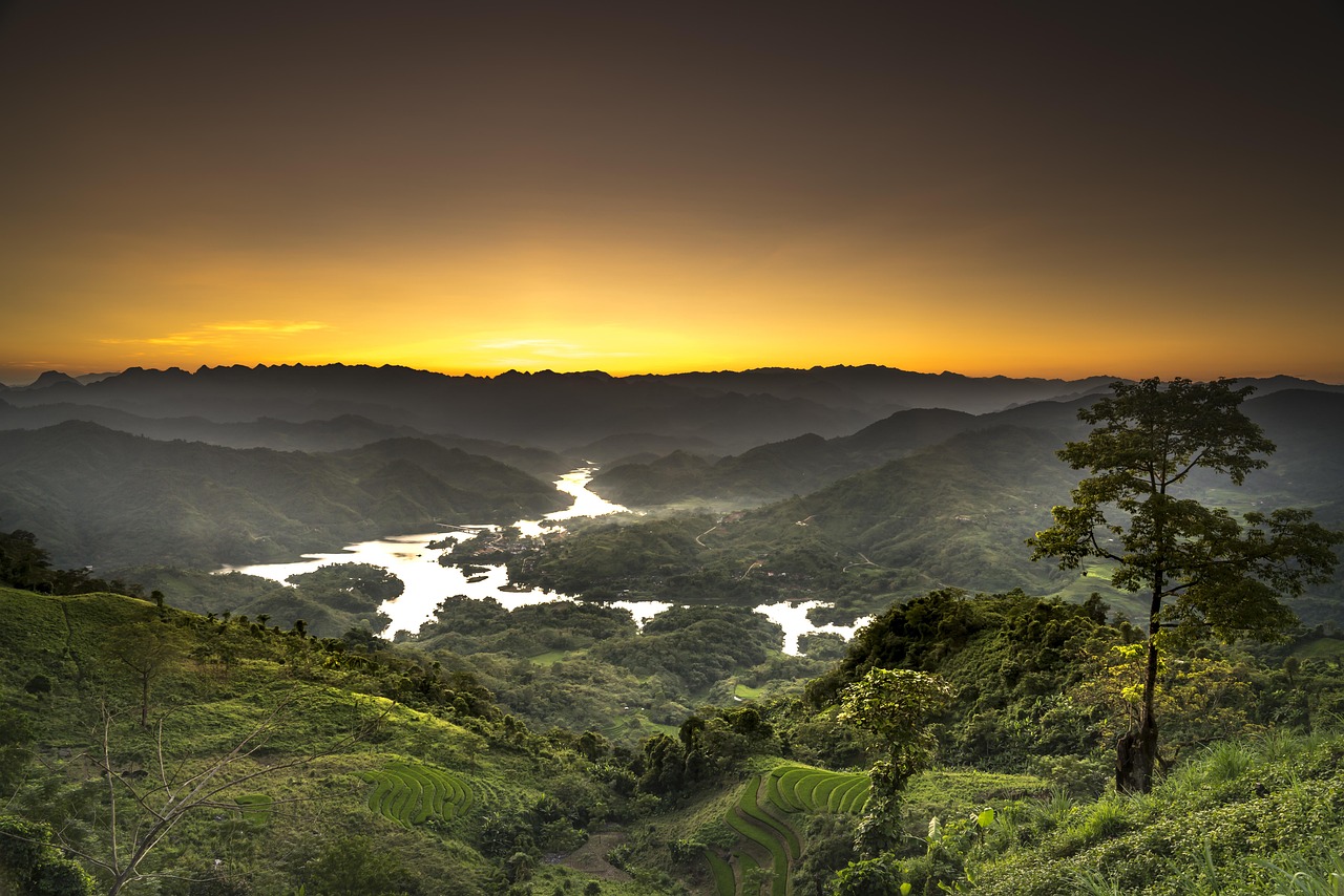 姜建清最新动态与成就,前沿领域的探索引领者