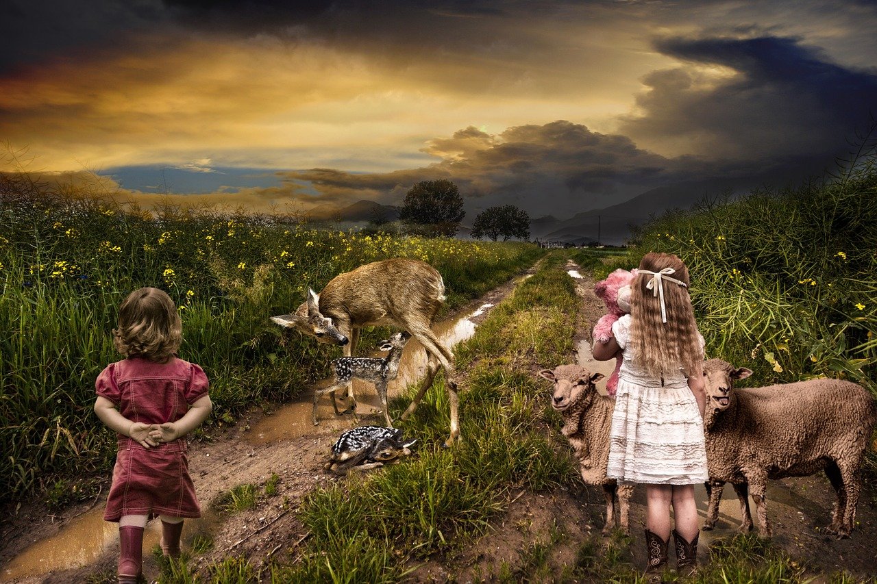 仙途最新版,奇幻世界全新篇章探索之旅