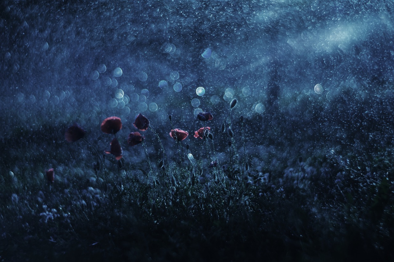 花火下的故事,最新小说探秘