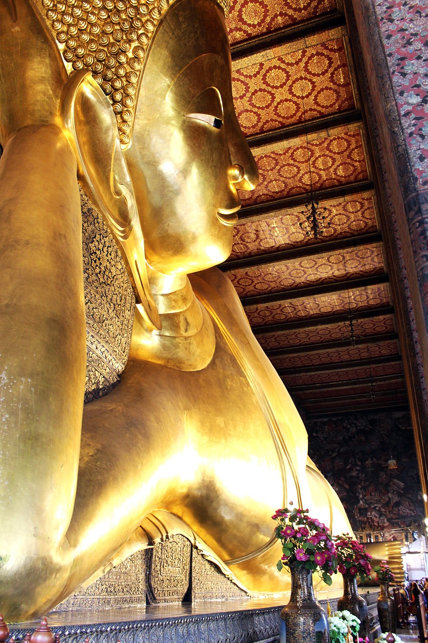 探索与发现之旅,最新Xxoo地址分享