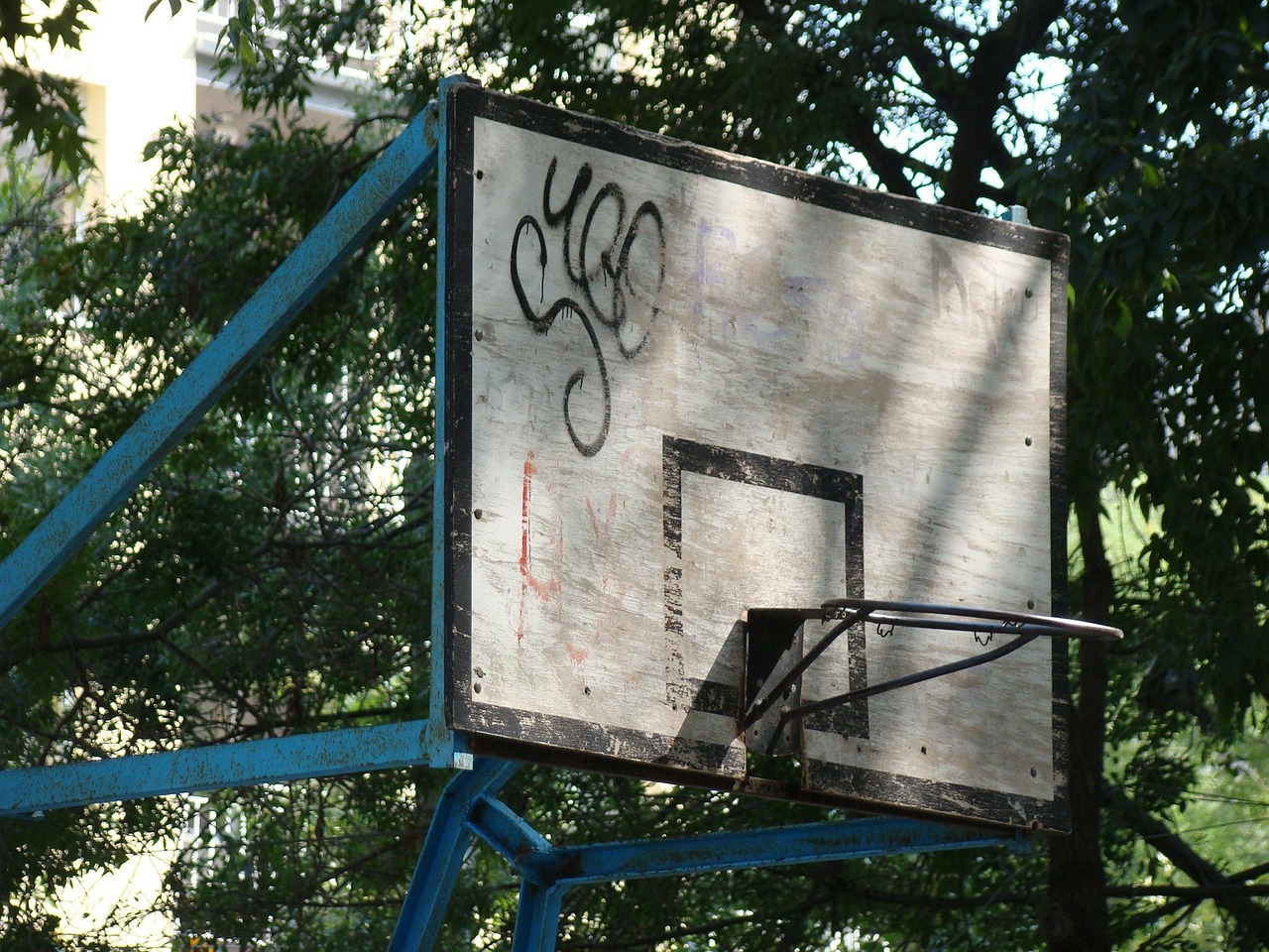 一清北华 第15页