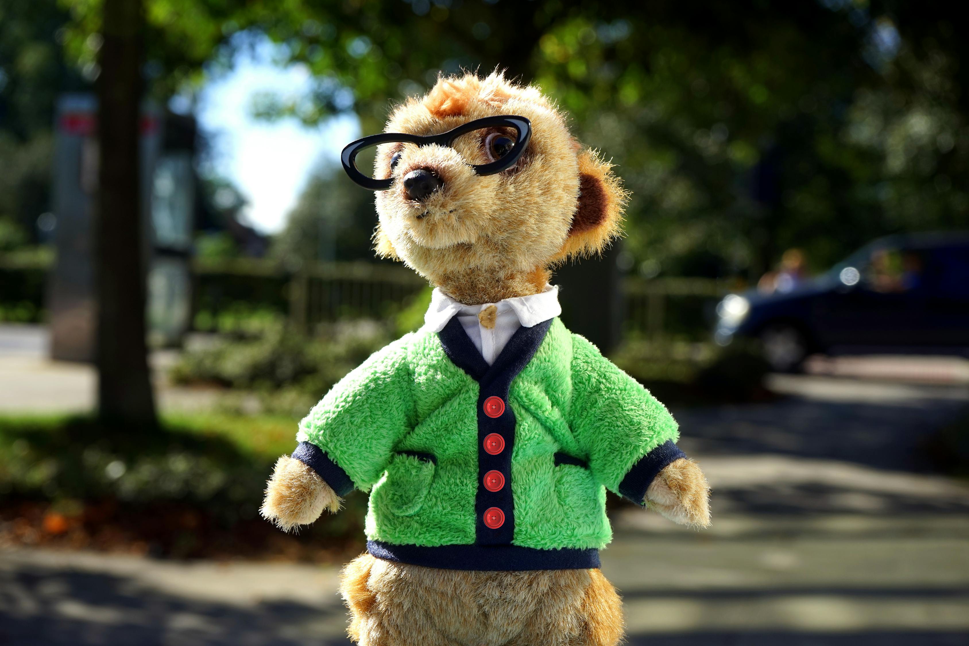 狗万最新版,全新游戏世界体验升级