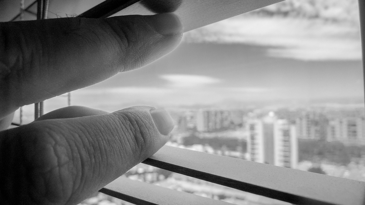 西昌楼盘最新动态,房价走势、市场分析与购房指南