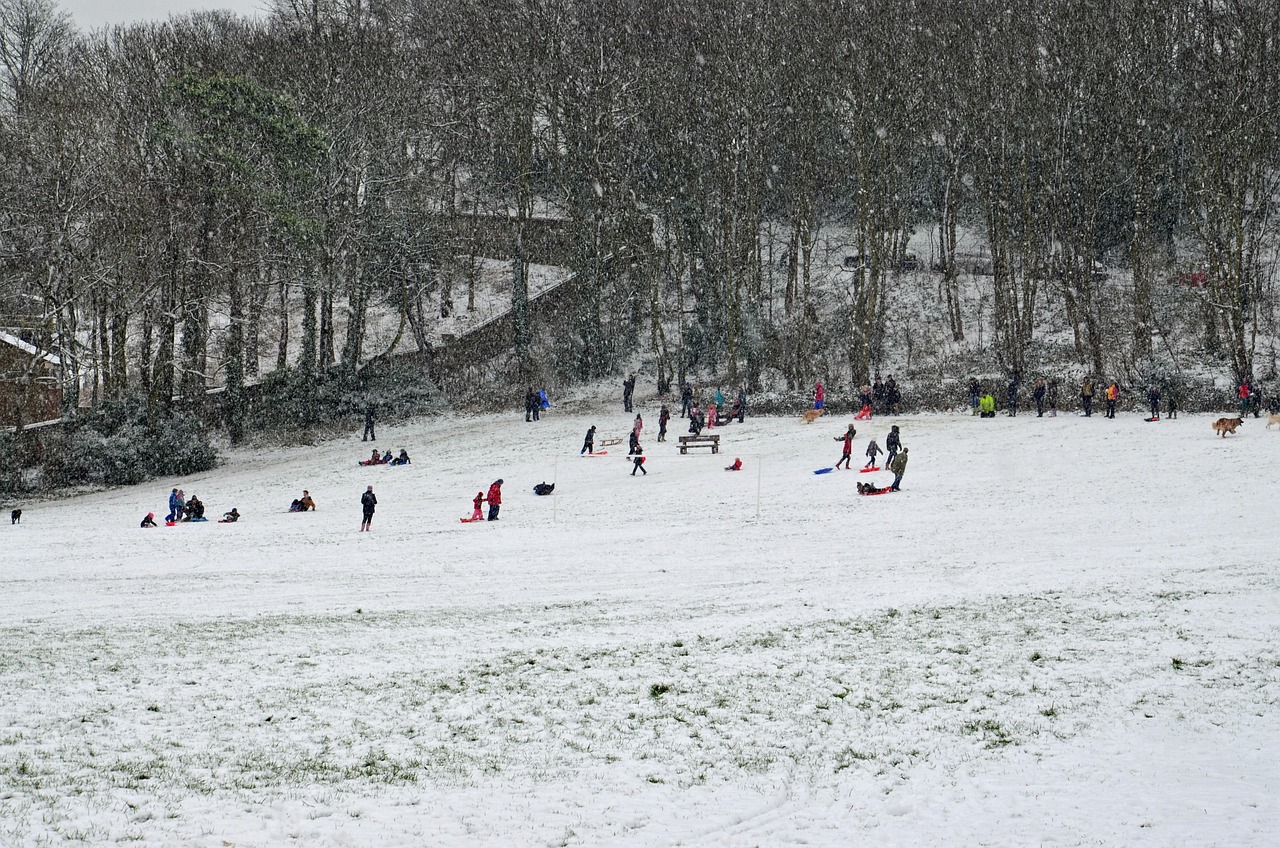青岛地震最新动态及今日分析简报