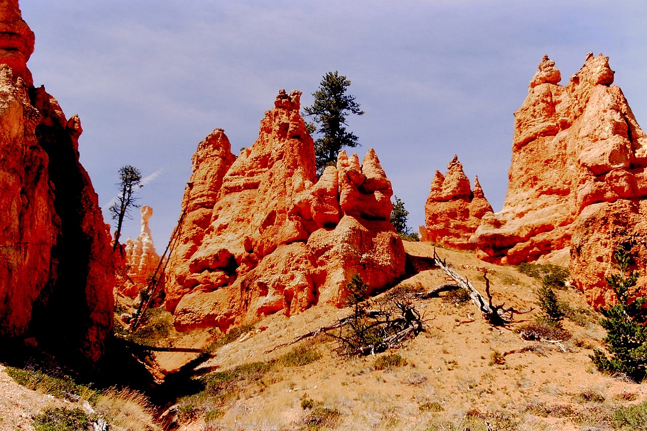 晋江崎山公园最新动态,绿色生态与人文景观的和谐融合