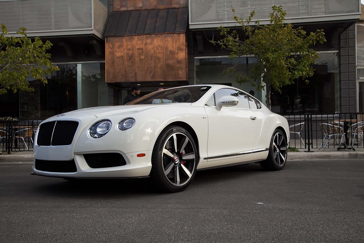 篮球巨星朗多的最新资讯与风采动态