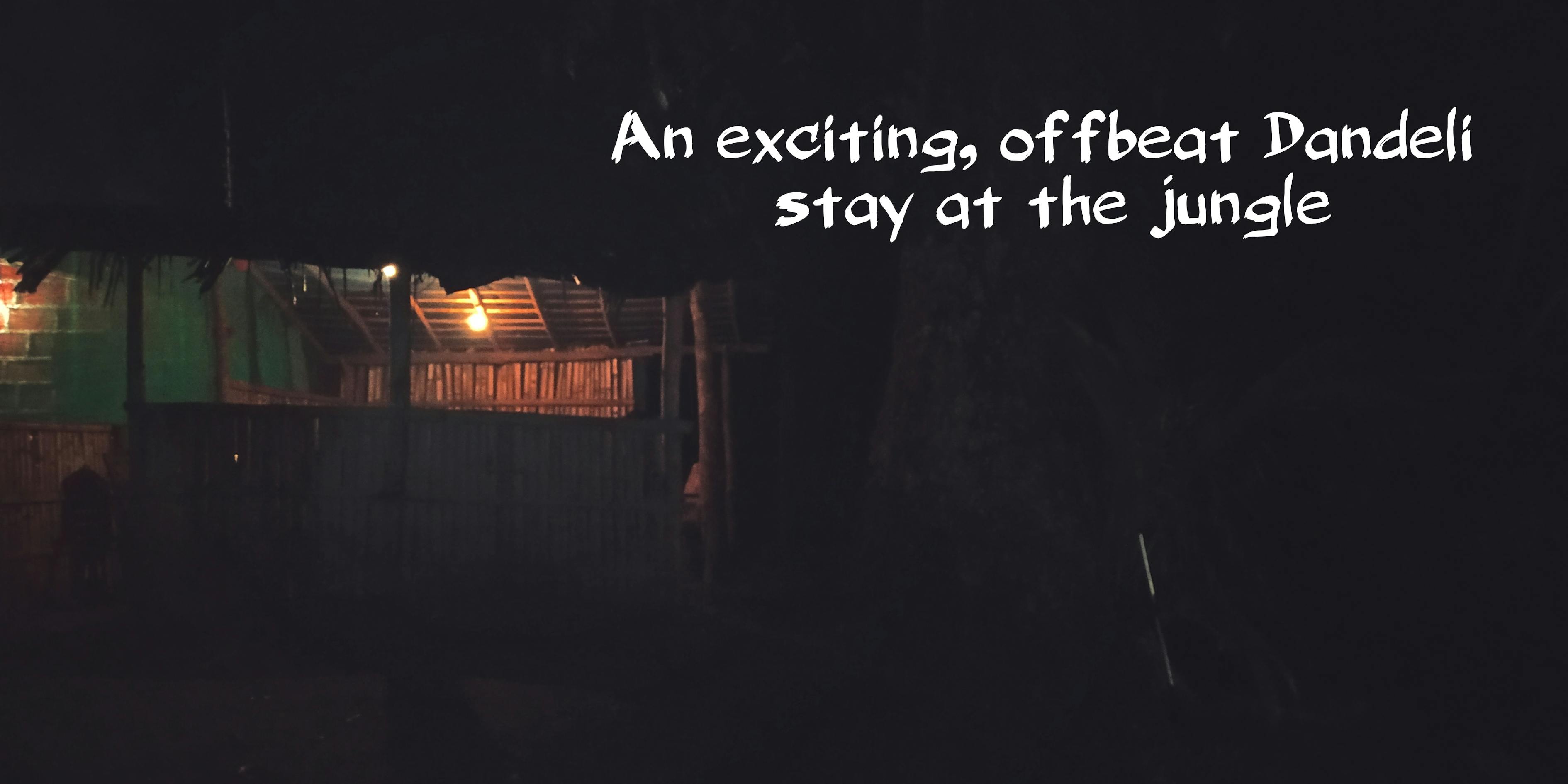 滑板比赛图片,速度与激情的视觉盛宴展现风采瞬间