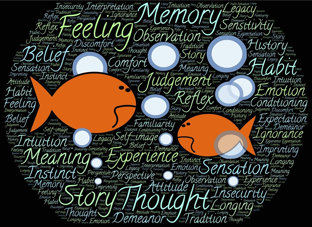 最新招标规定重塑采购环境的透明、公平与效率之道