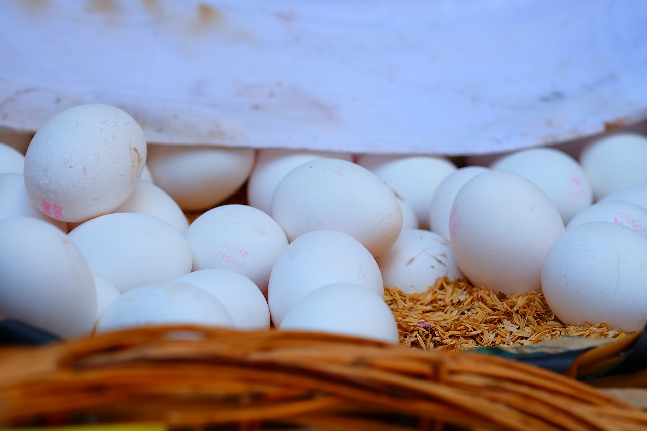 昊华鸿鹤引领行业变革,共创美好未来,最新动态速递