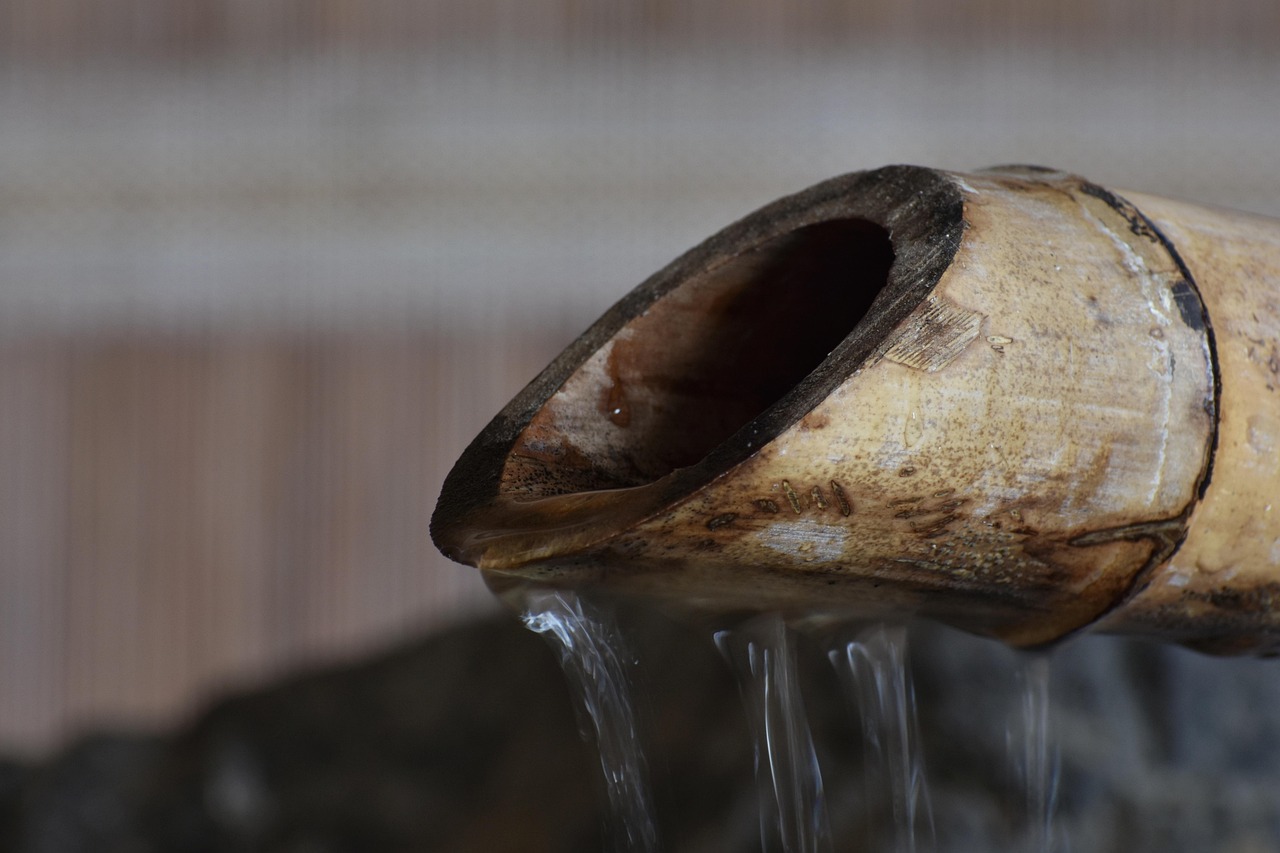 遂宁安居最新资讯概览,安居动态一网打尽